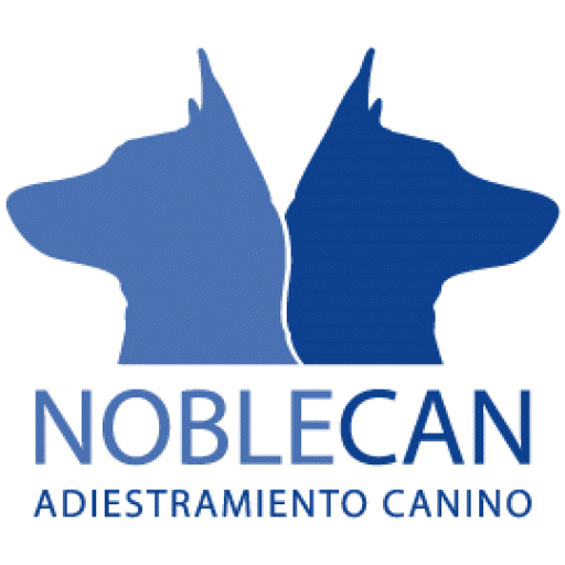 adiestramiento-canino-madrid
