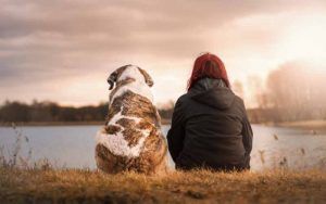 que-es-etologo-canino