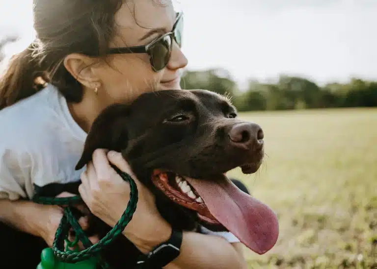 Adiestramiento canino cognitivo-emocional