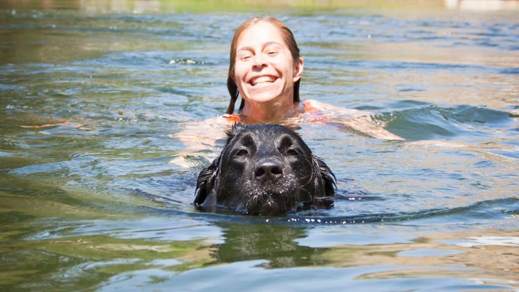 10 ejercicios con tu perro