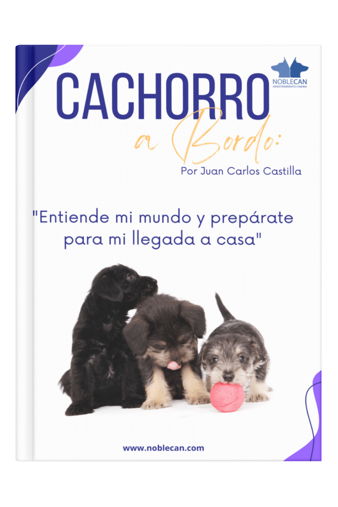 Ebook gratis: llegada del cachorro a casa