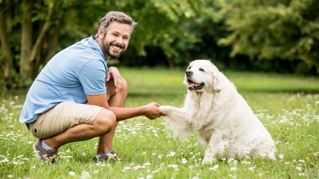 Educación Canina sin Castigos en Madrid