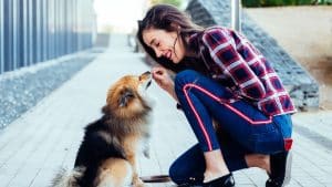 Educación Canina sin Castigos en Madrid