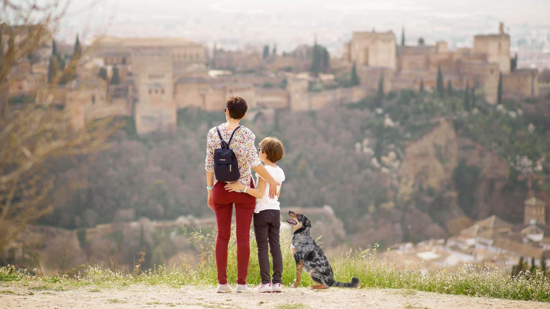 Vivir con tu perro en Granada
