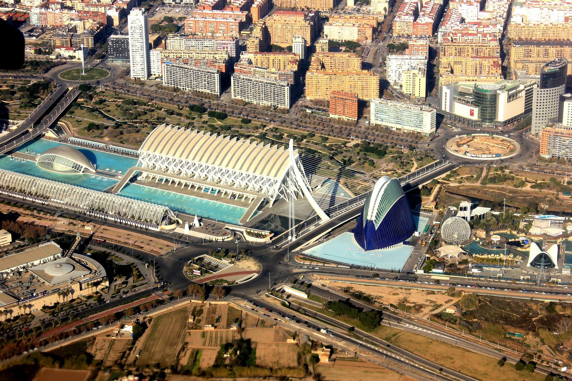 10 lugares ideales para ir con tu perro en Valencia
