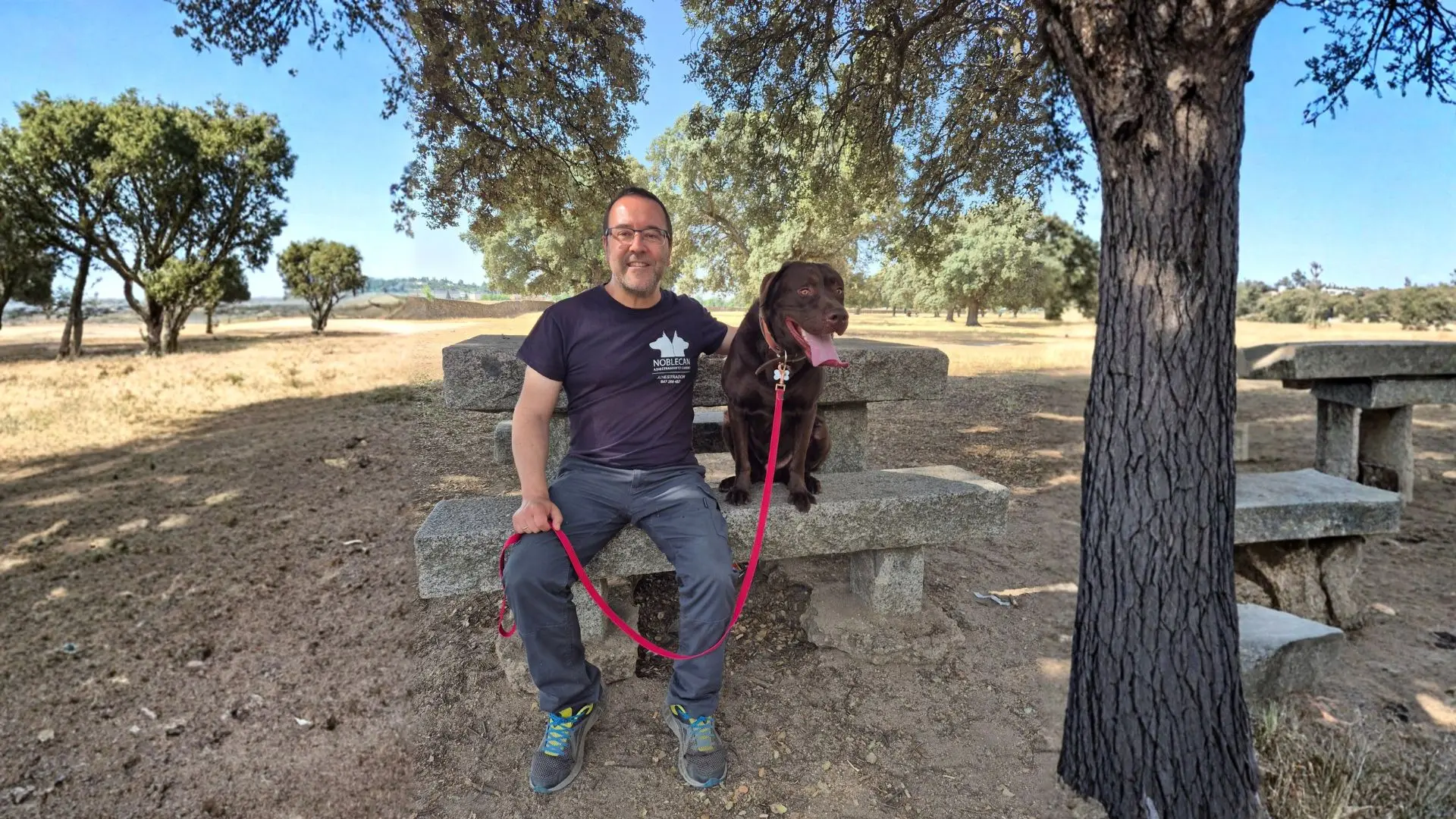 Cómo elegir un buen adiestrador canino en Barcelona