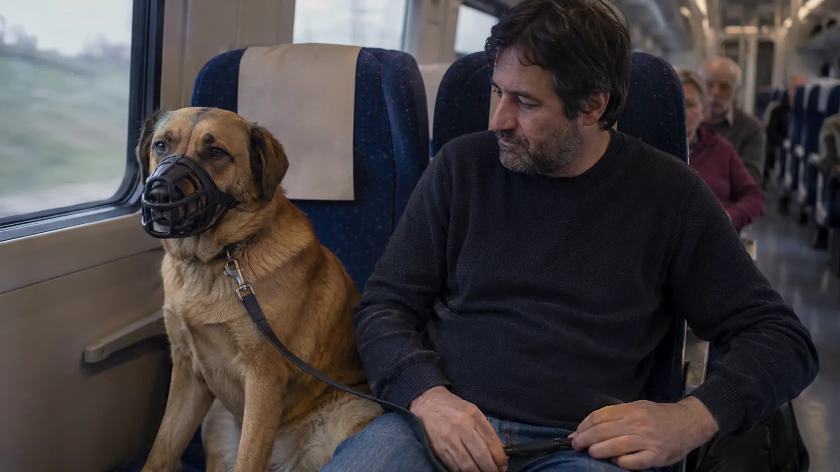 Renfe permite viajar con perros de hasta 40 kilos