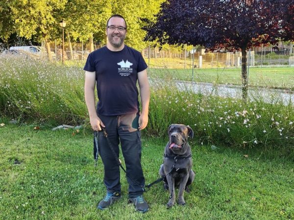 Adiestramiento canino a domicilio en Madrid