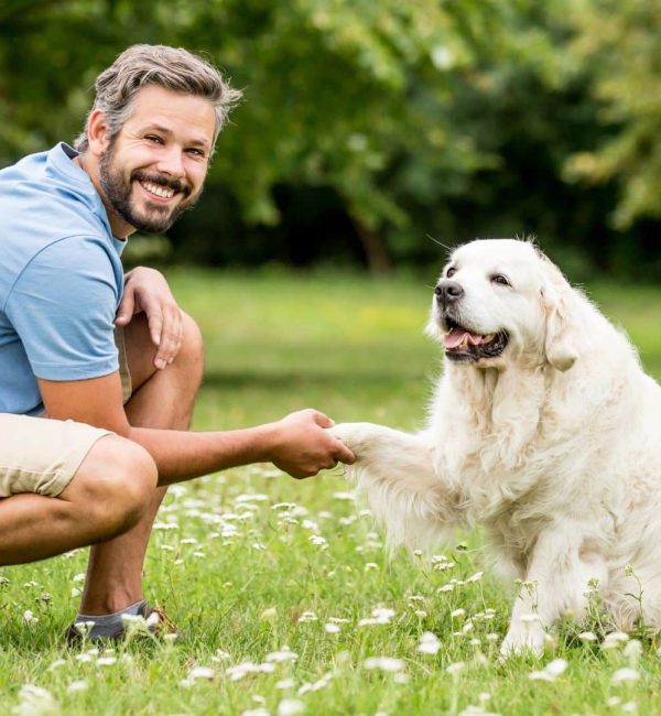 Educación Canina sin Castigos en Madrid