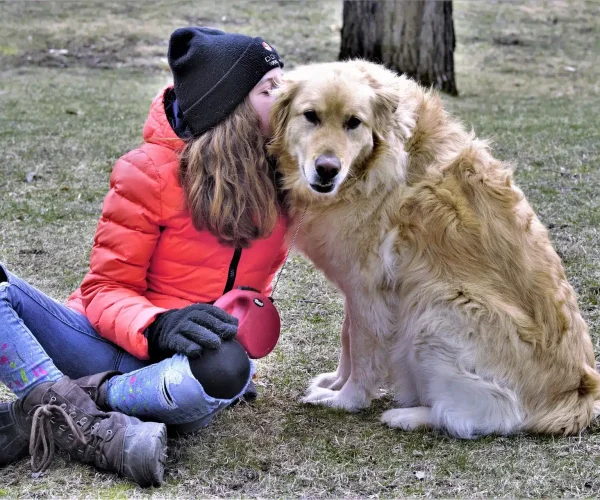 Adiestramiento Canino a Domicilio en Madrid