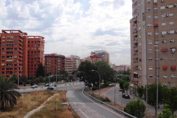 Adiestramiento canino en Xirivella