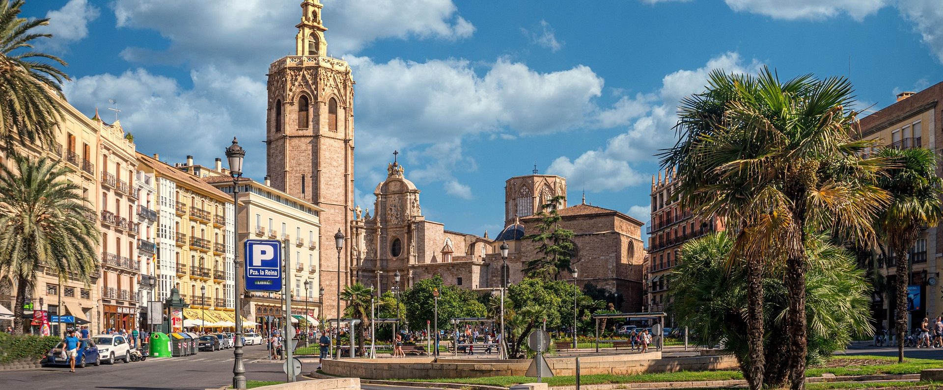 Adiestramiento en Valencia